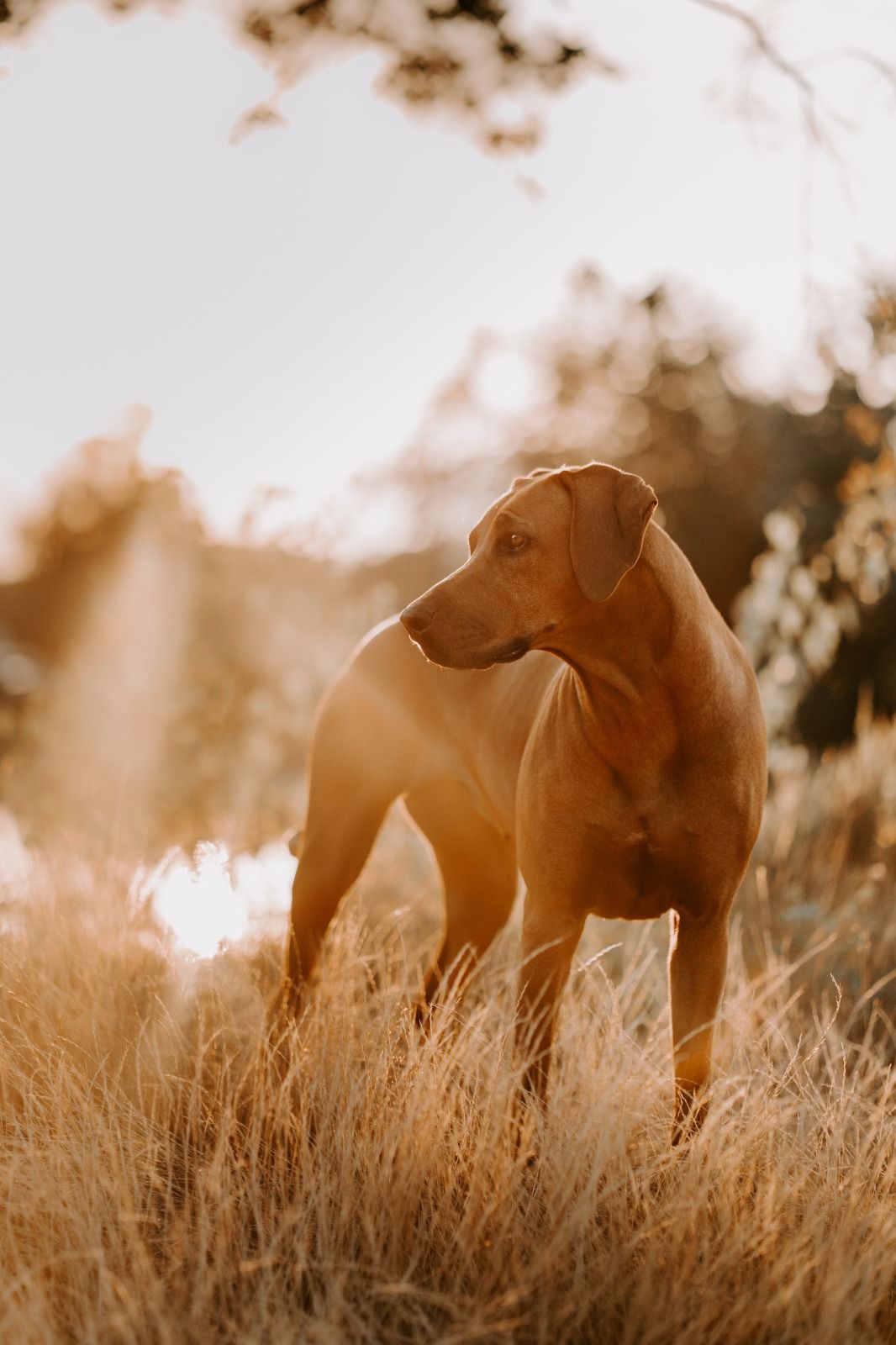 WhatsApp Image 2024-07-19 at 15.19.35