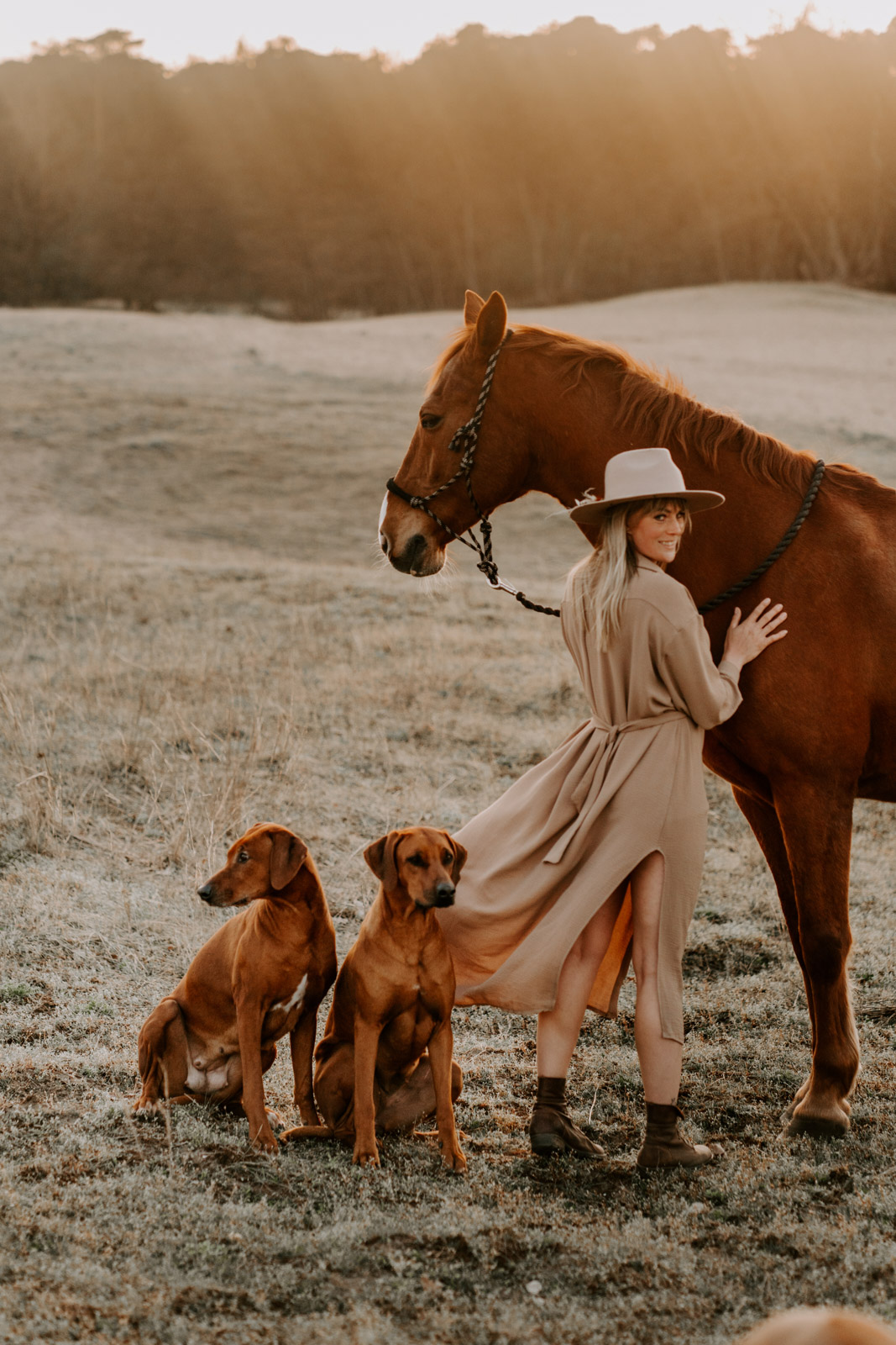 Zamrock_Rhodesian Ridgeback_Hannah Meinhardt_240